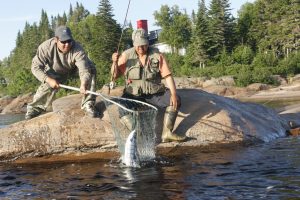 conservation-du-saumon-datlantique-dans-sept-communautes-innues-2012-14