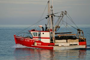 bateau-lady-elise-credit-serge-jauvin-small